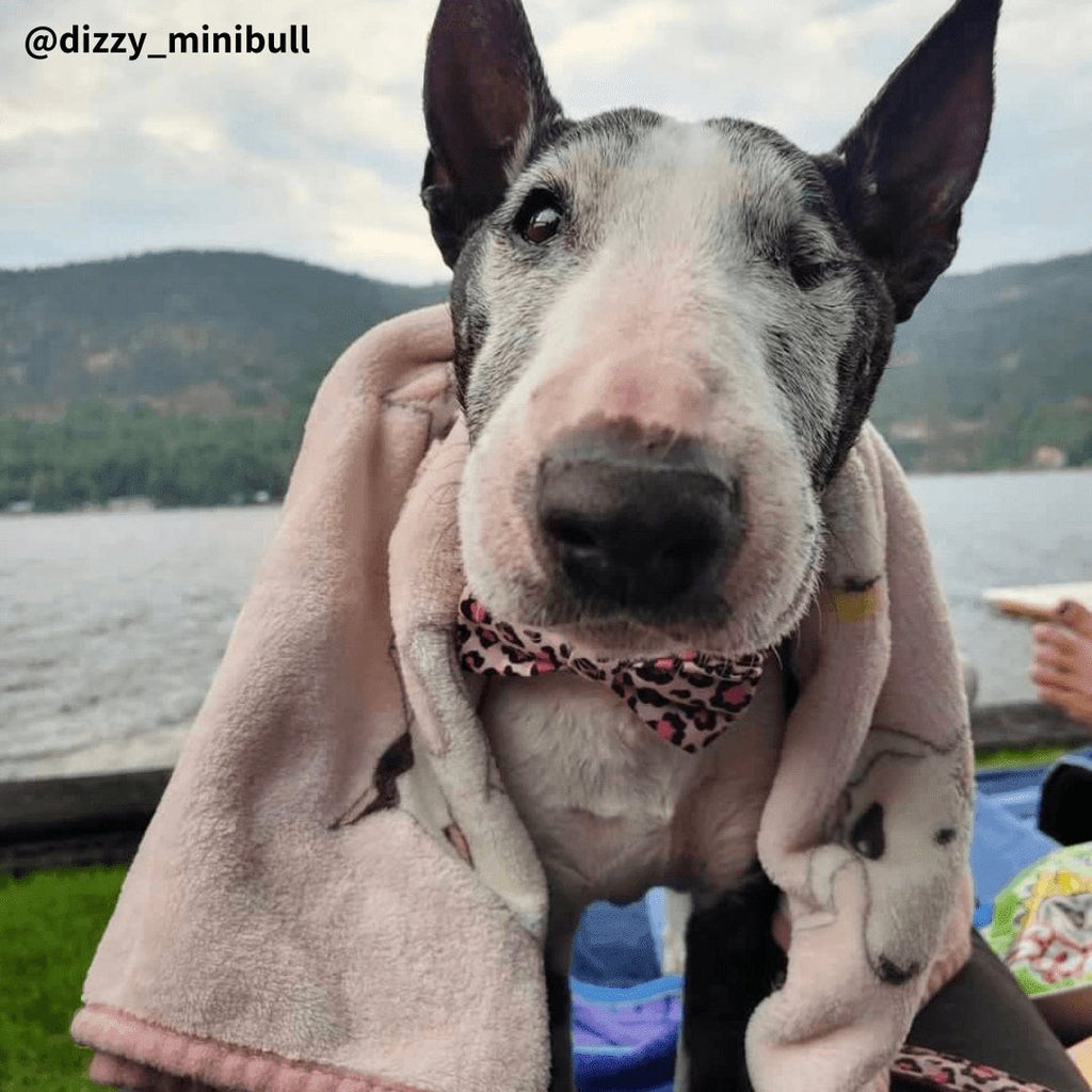 Dog Fleece Blanket product image 2