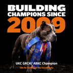 Bully Max 26/12 High Protein Chicken Wet Dog Food product image 8