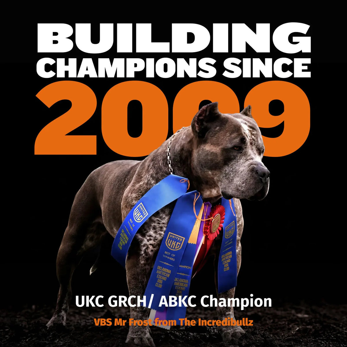 Bully Max 26/12 High Protein Chicken Wet Dog Food product image 8