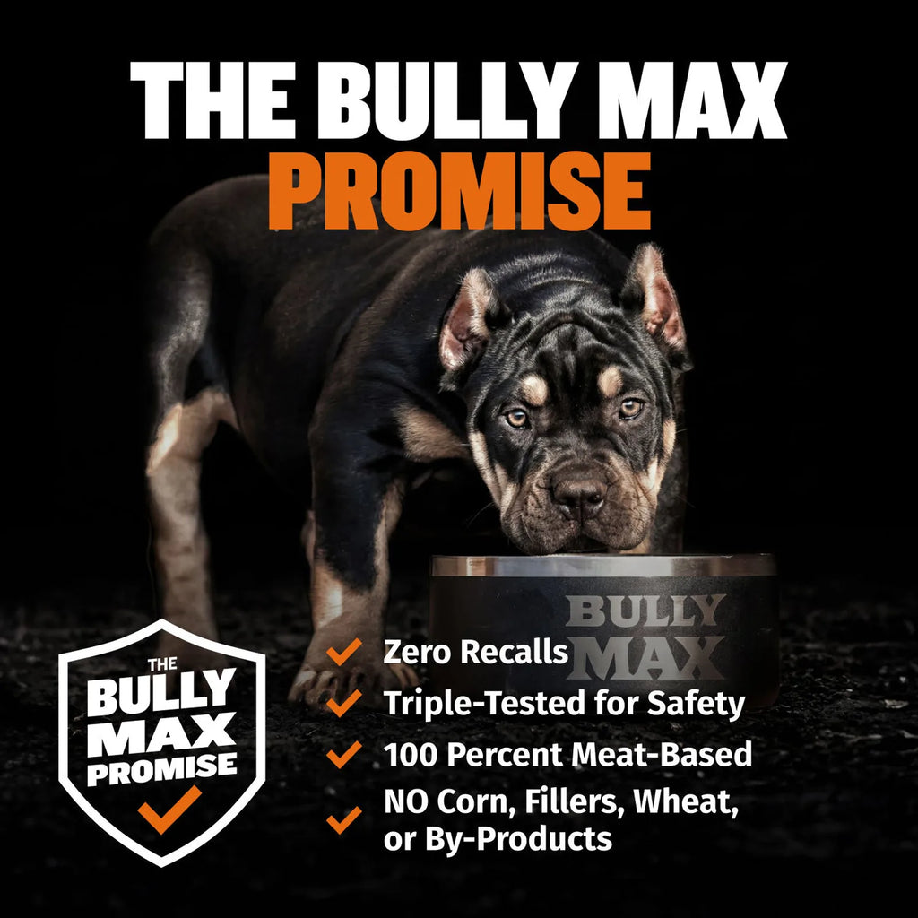 Bully Max 26/12 High Protein Chicken Wet Dog Food product image 9