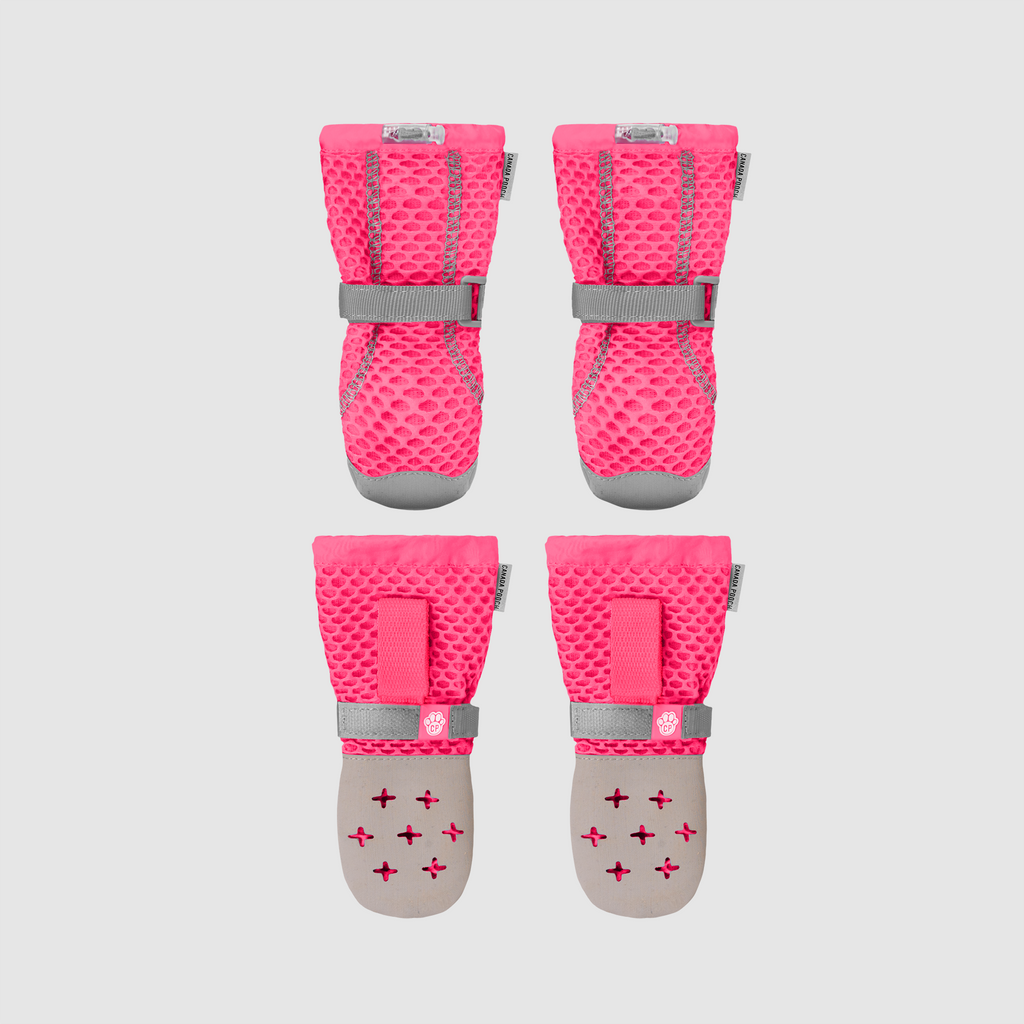 Hot Pavement Dog Boots product image 12