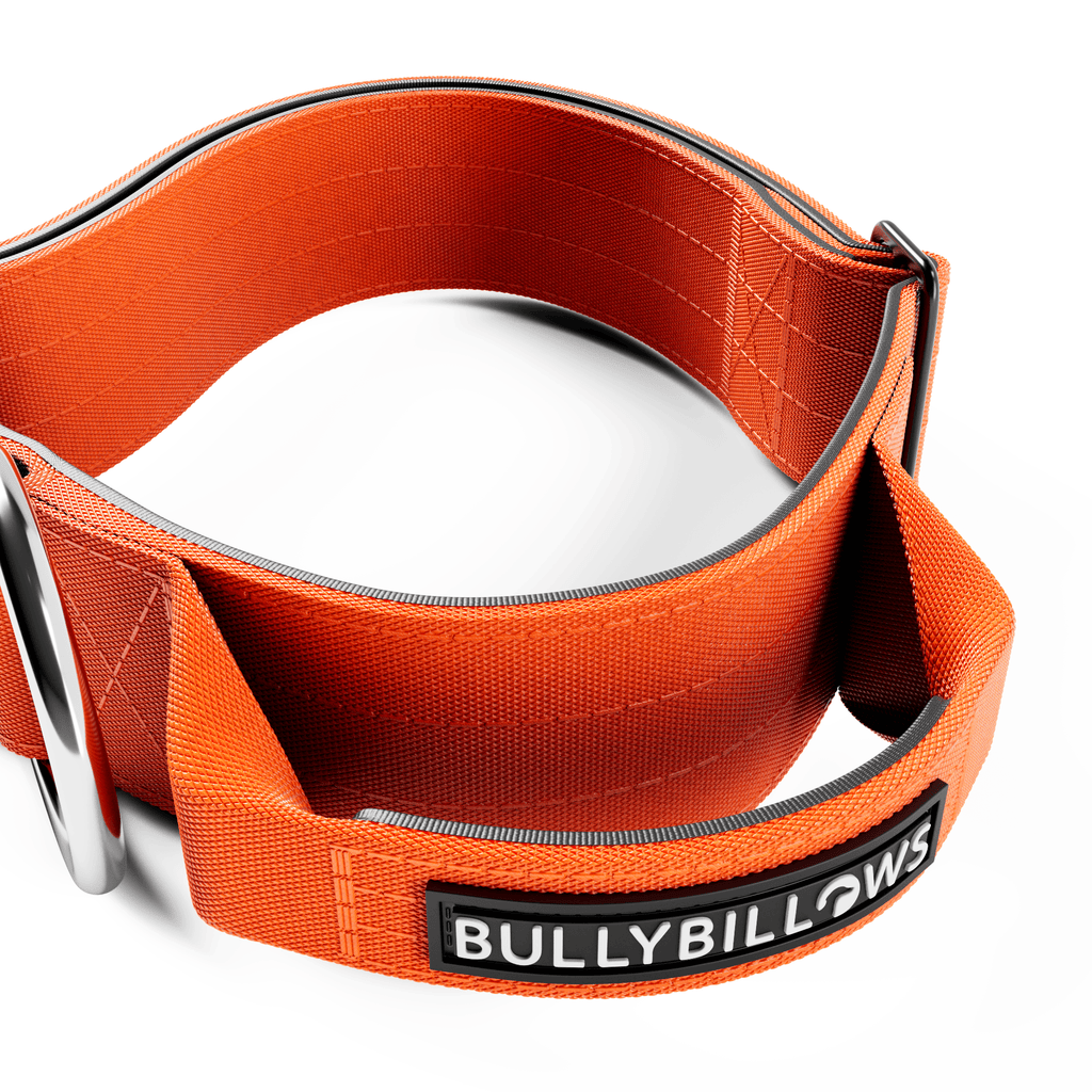 Padded Control-Handle Dog Collar product image 3