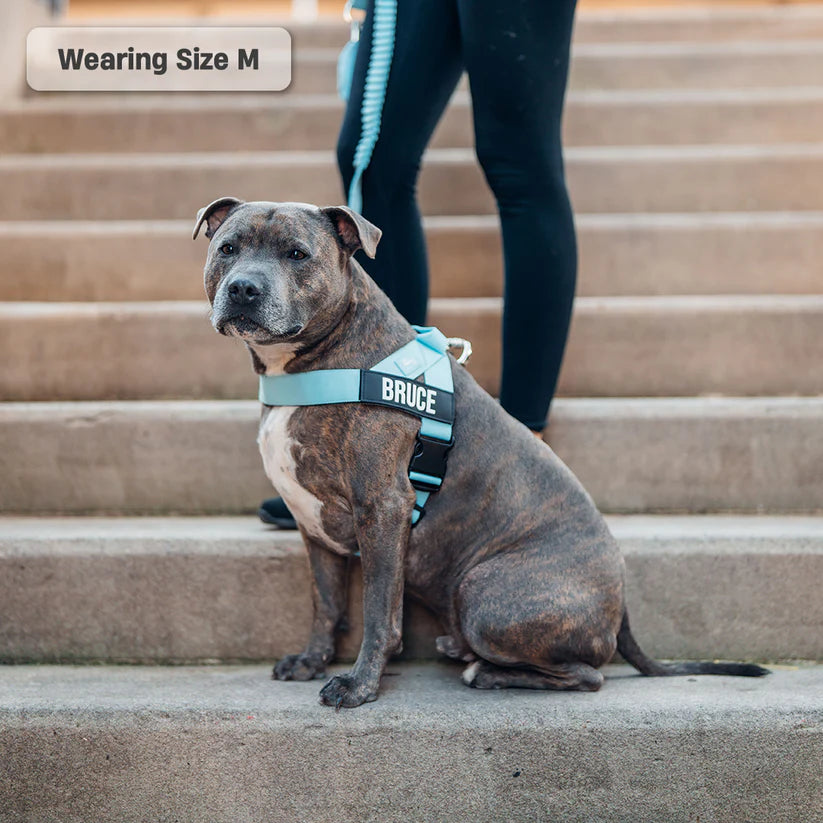Adjustable Grab-Handle Dog Harness product image 9