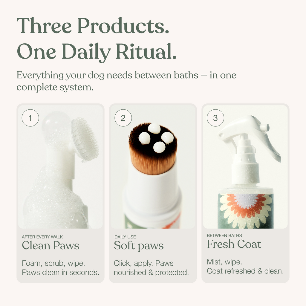 Dog Paw and Coat Care Set product image 2