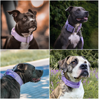 Control-Handle Dog Collar product image 6