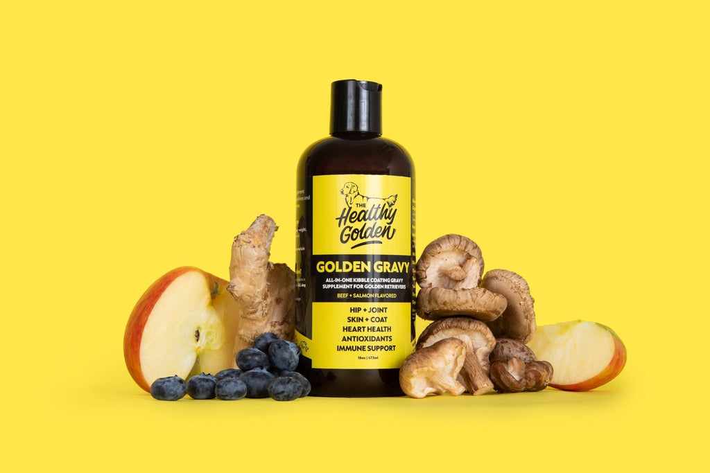 Liquid Dog Wellness Supplement Single Bottle