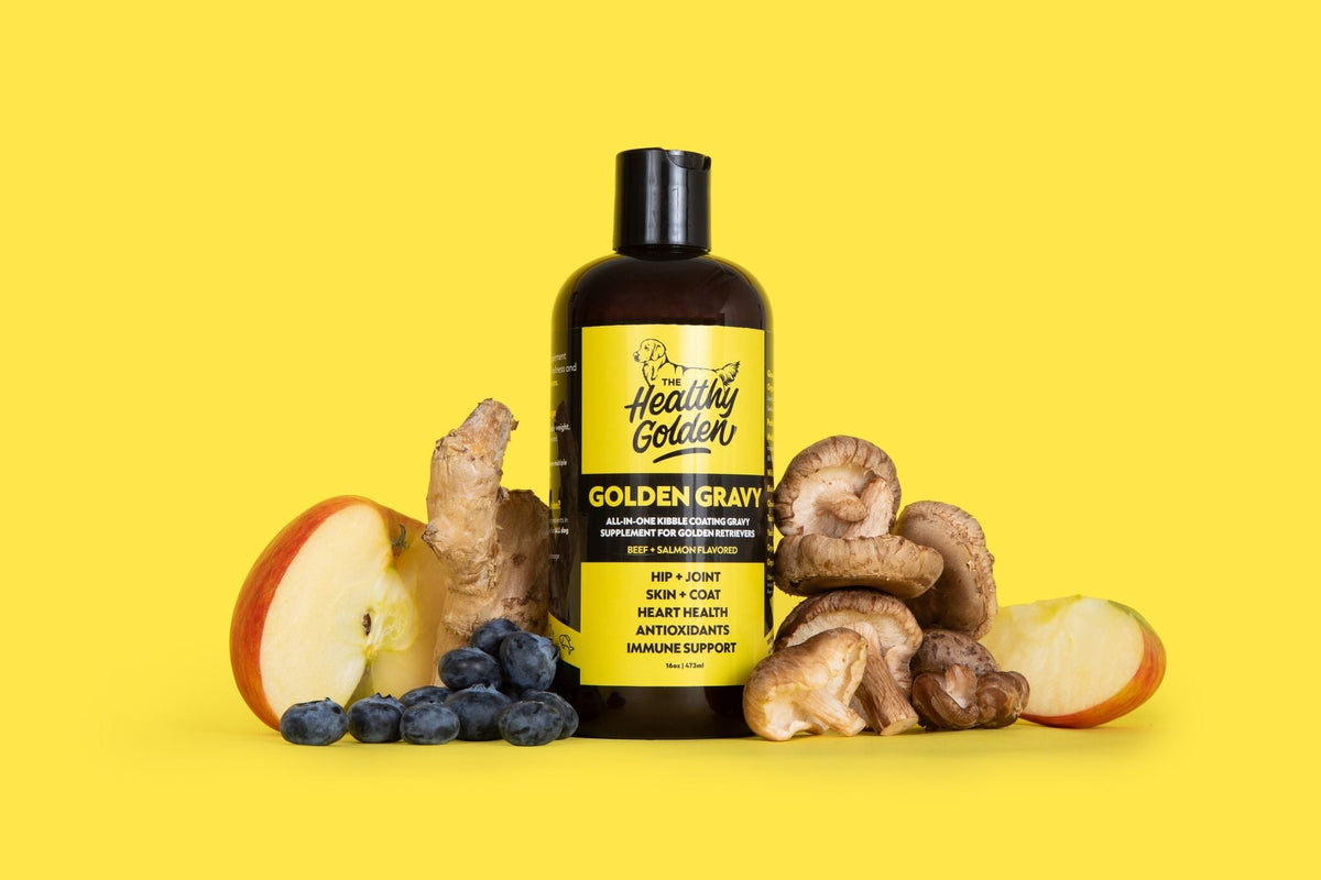 Liquid Dog Wellness Supplement Single Bottle