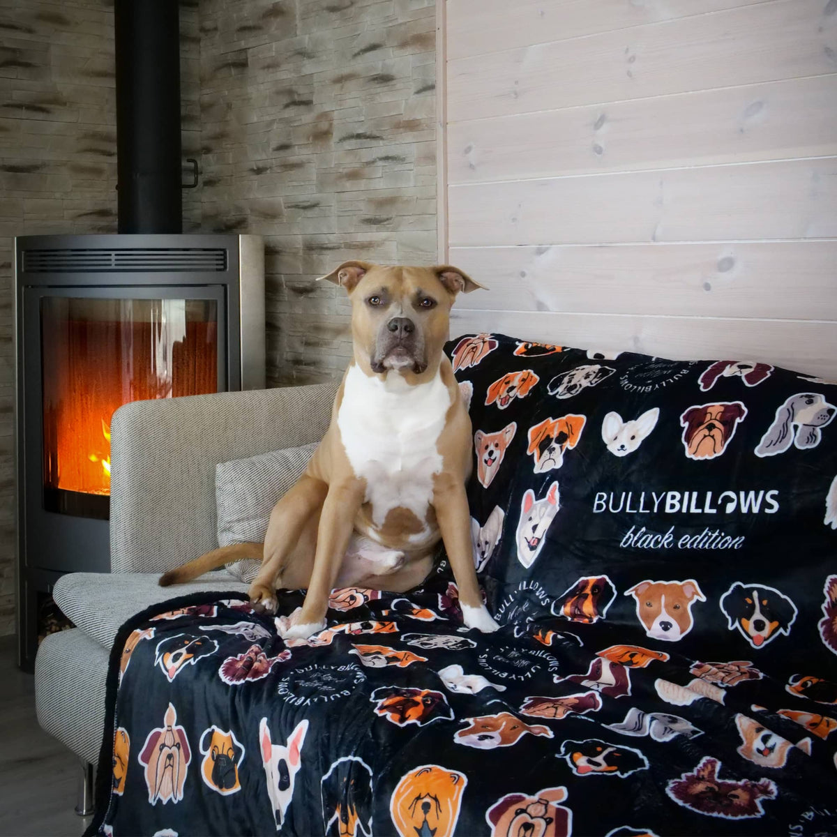 Black Pet Blanket for Dogs and Owners product image 3