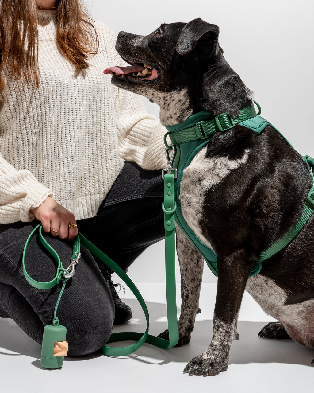 Cushioned No-Pull Dog Harness product image 19