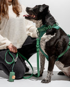 Cushioned No-Pull Dog Harness product image 19