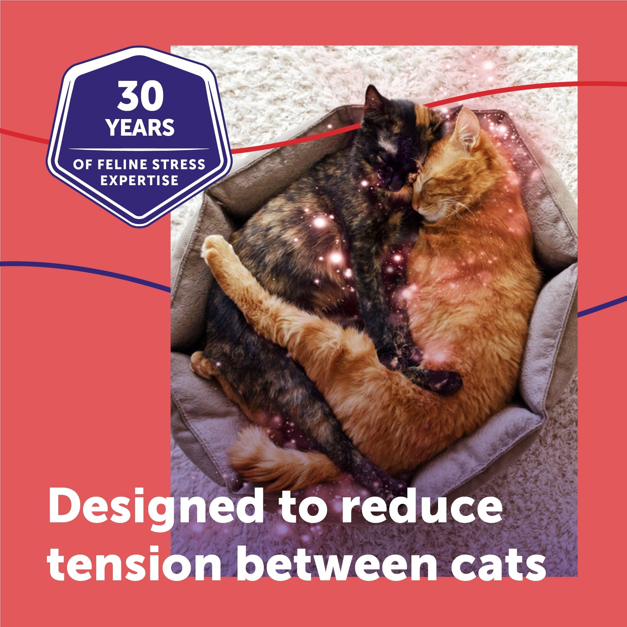 Multi-Cat Calming Diffuser Refill product image 4