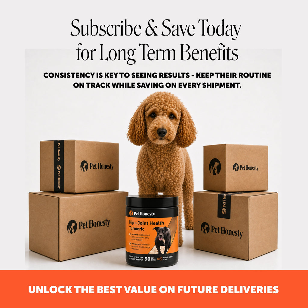 Turmeric Dog Joint Support Soft Chews product image 8