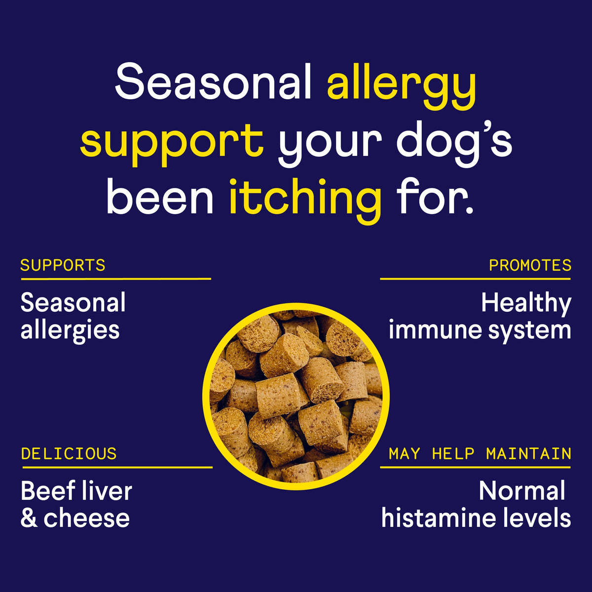 Dog Allergy and Itch Soft Chews product image 3