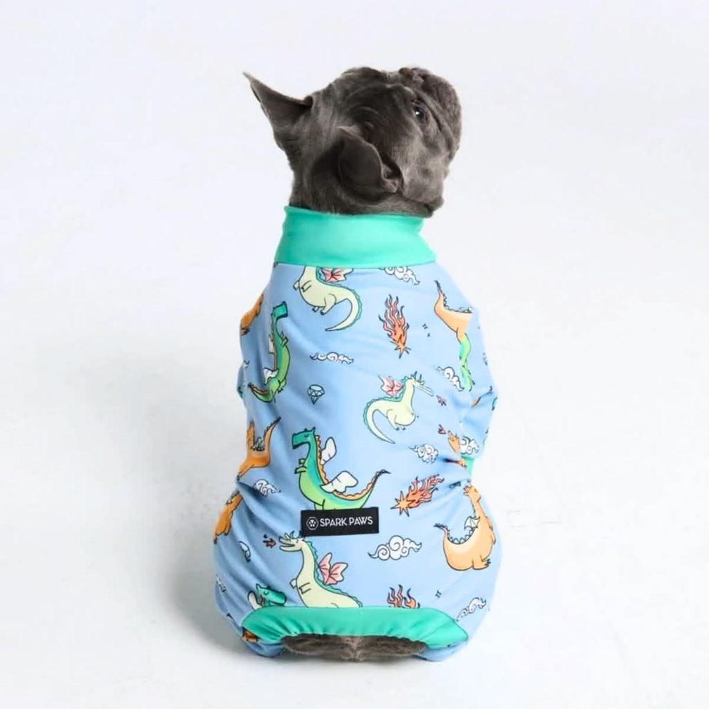 Dragon-Print Dog Pajamas product image 2
