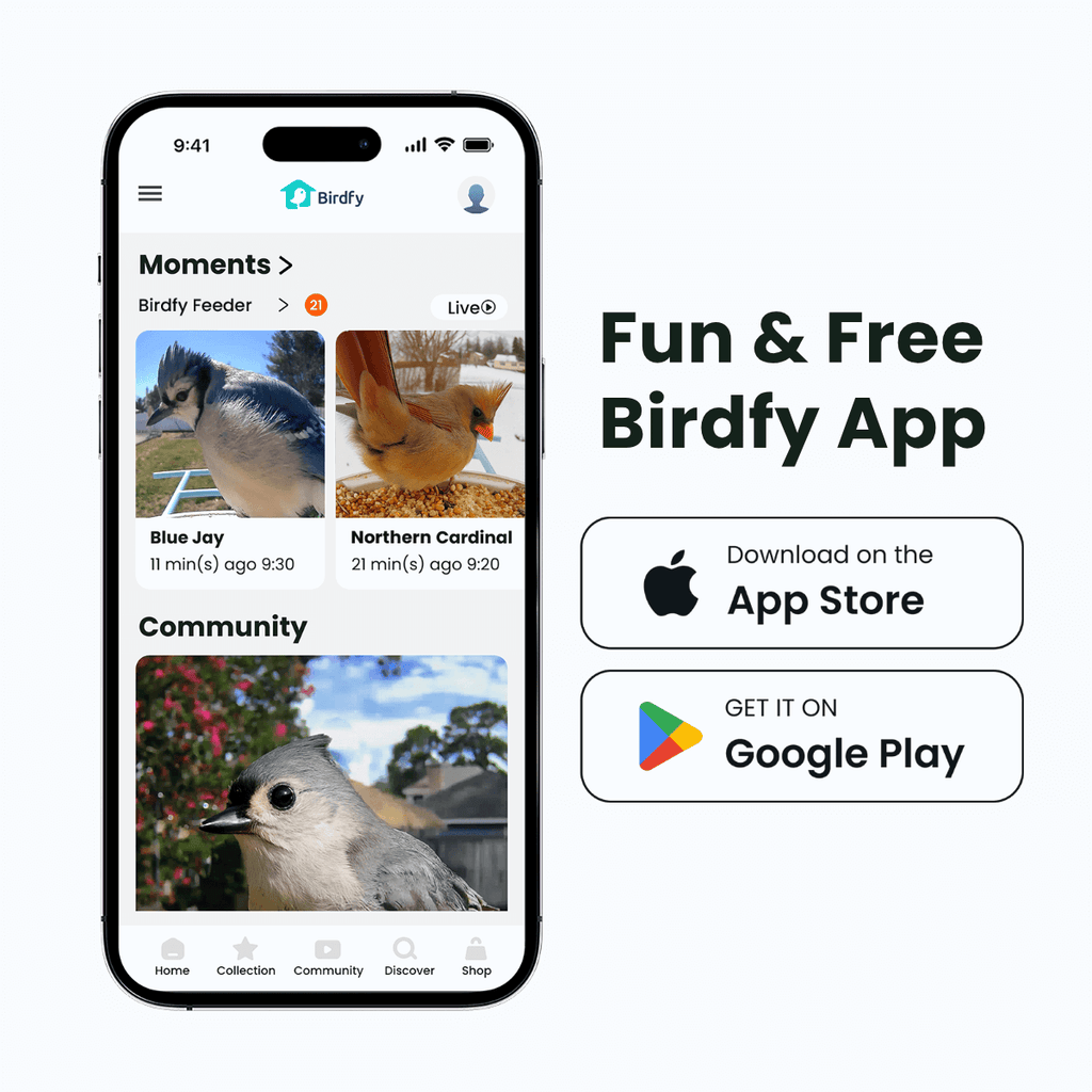 Smart Bird Feeder Camera product image 3
