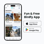 Smart Bird Feeder Camera product image 3