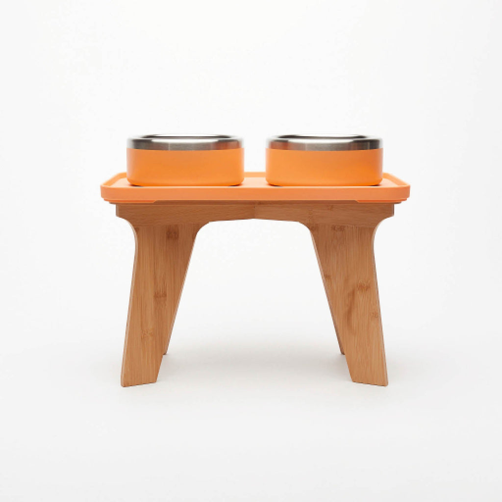 Elevated Pet Slow Feeder and Bowl Set product image 19