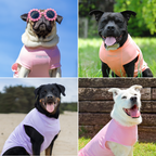 UPF 30 Dog Sun Shirt product image 60