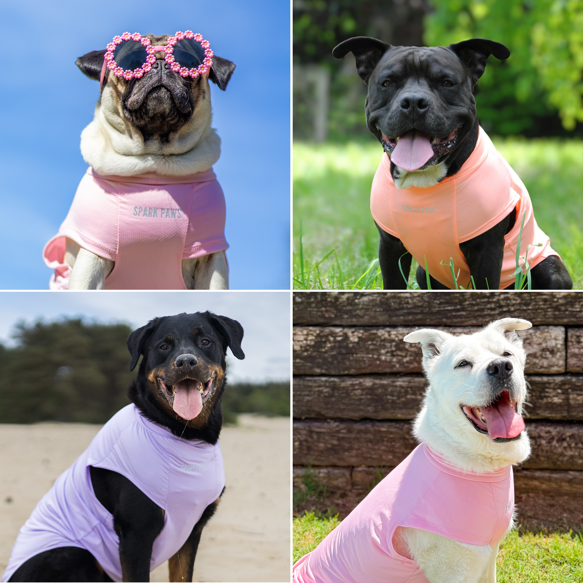 UPF 30 Dog Sun Shirt product image 60