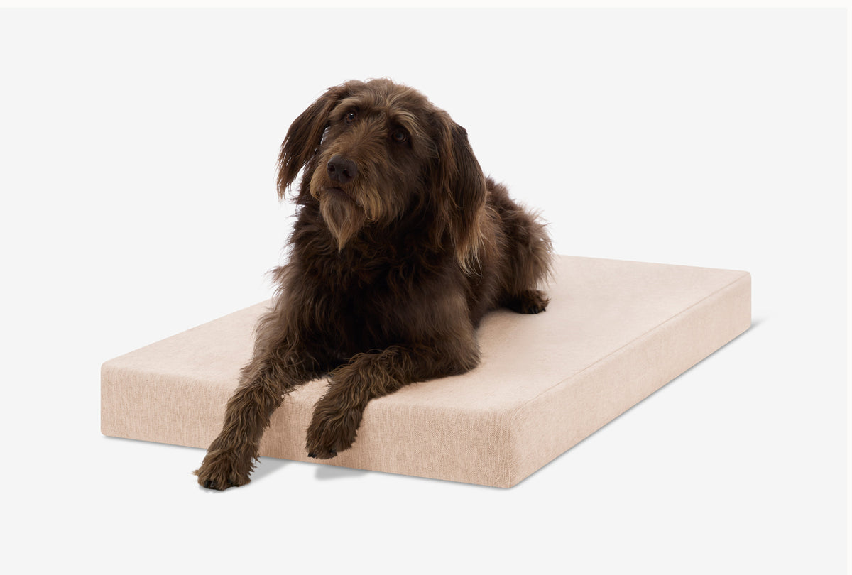 Orthopedic Dog Crate Bed product image 36