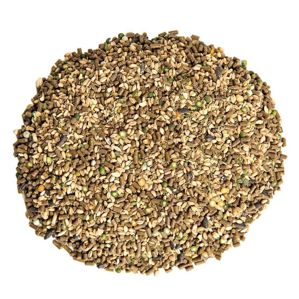 Chicken Layer Feed product image 2