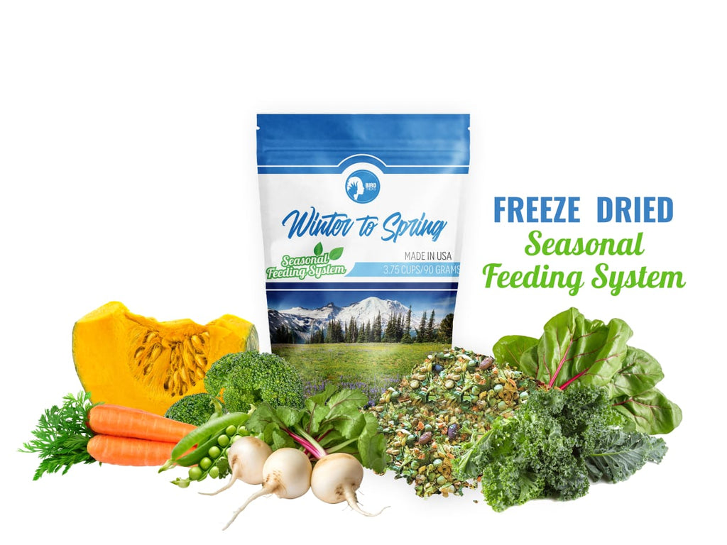 Freeze-Dried Seasonal Parrot Food product image 3