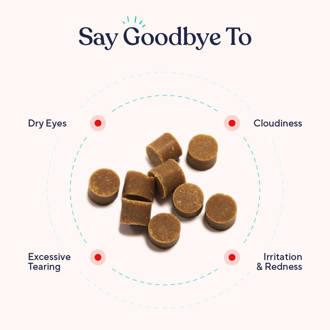 Dog Eye Support Soft Chews product image 3