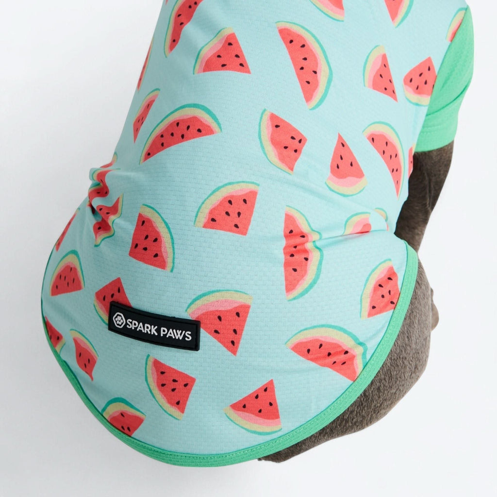UPF 30 Printed Dog Sun Shirt product image 38