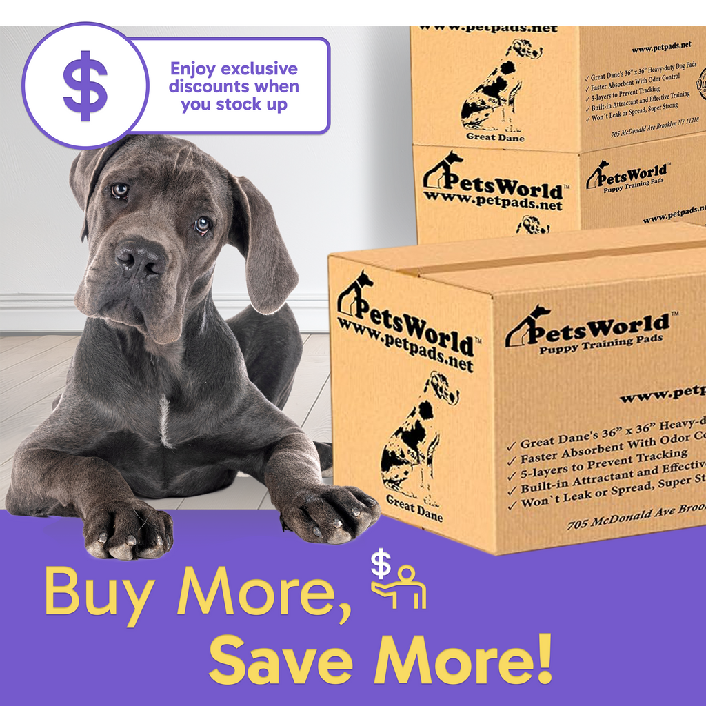 Extra-Large Dog Training Pads product image 12