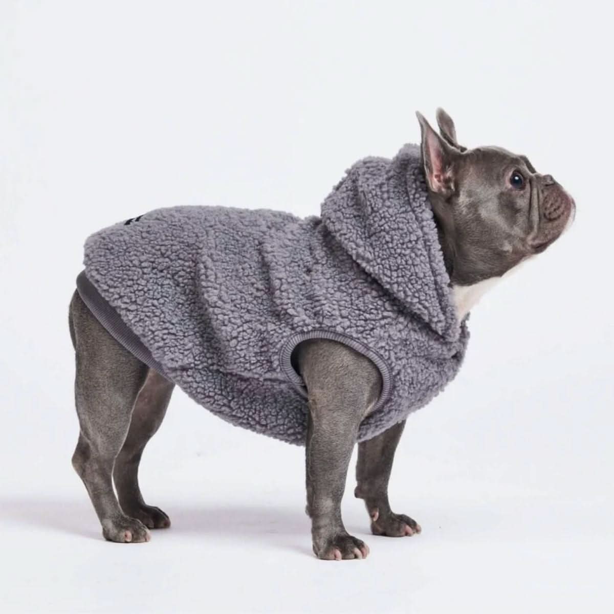 Teddy Sherpa Dog Jacket product image 1