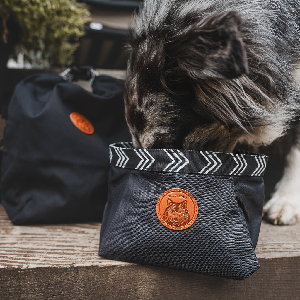 Packable Dog Travel Bowl product image 3