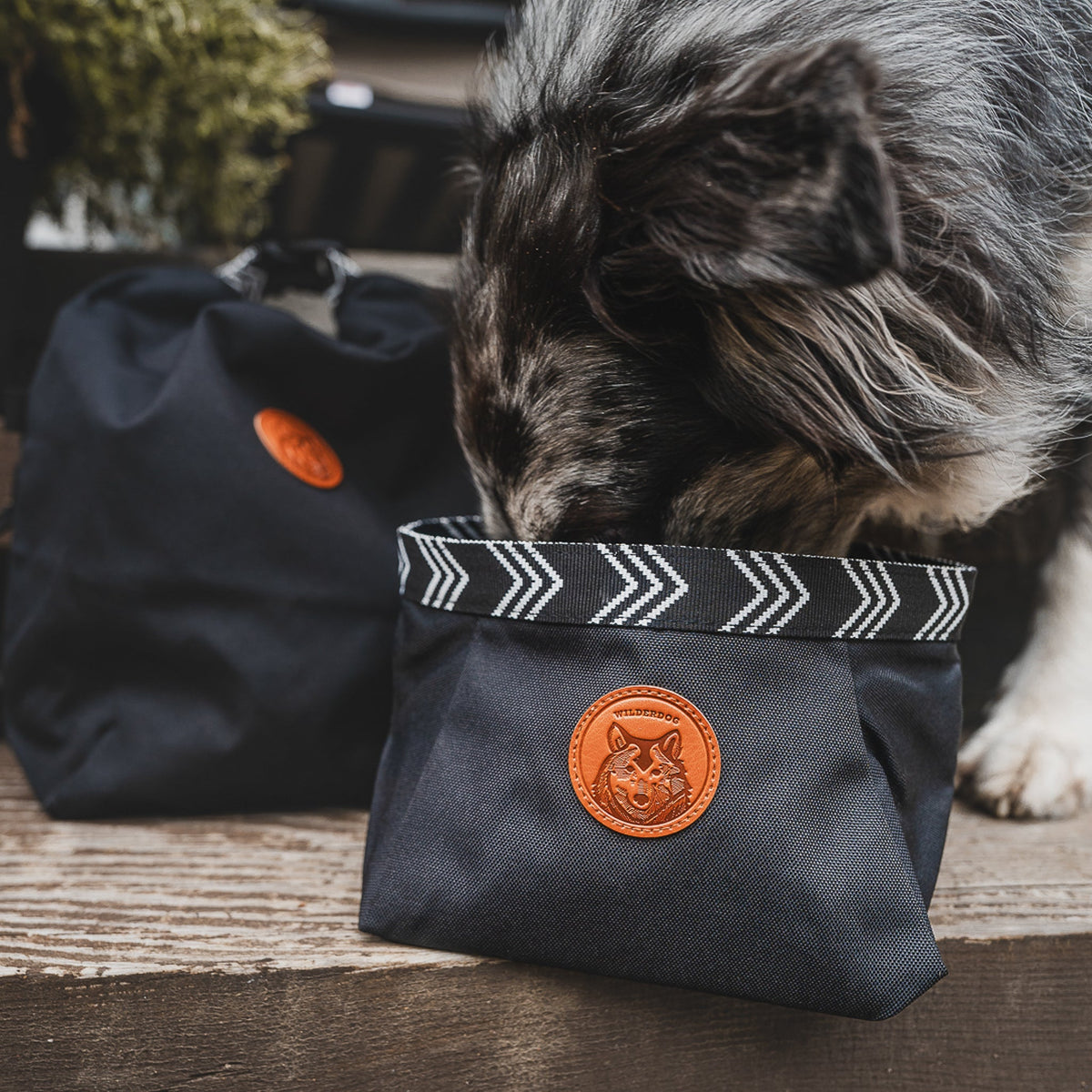 Packable Dog Travel Bowl product image 3