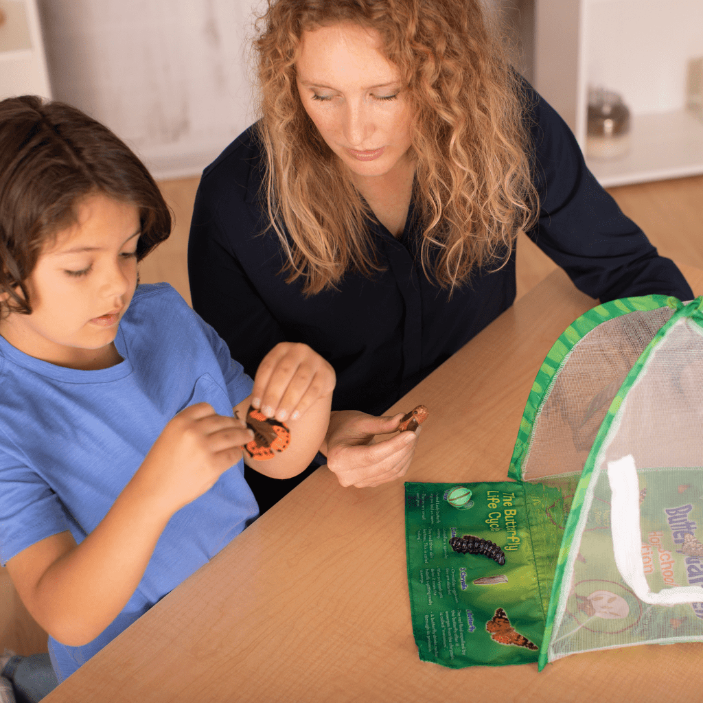 Butterfly Growing Kit product image 3