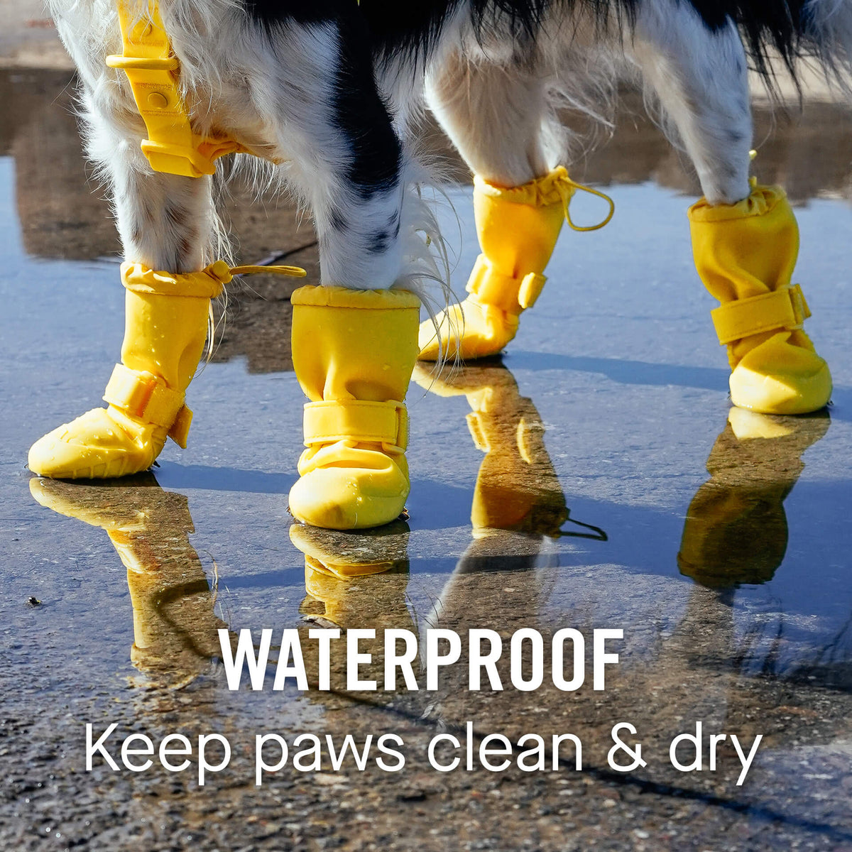 Waterproof Silicone Dog Rain Boots product image 2