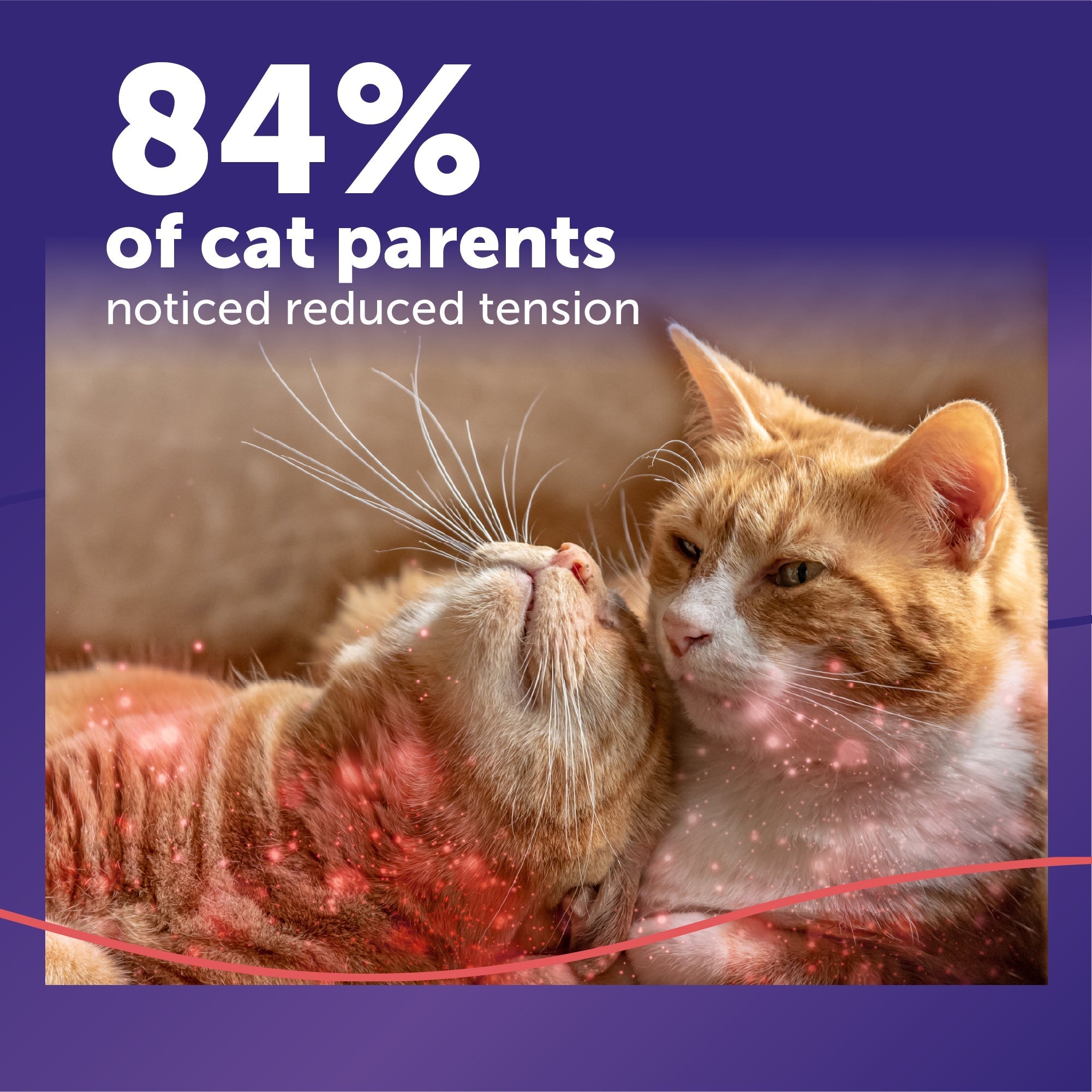 Multi-Cat Calming Diffuser Refill product image 6