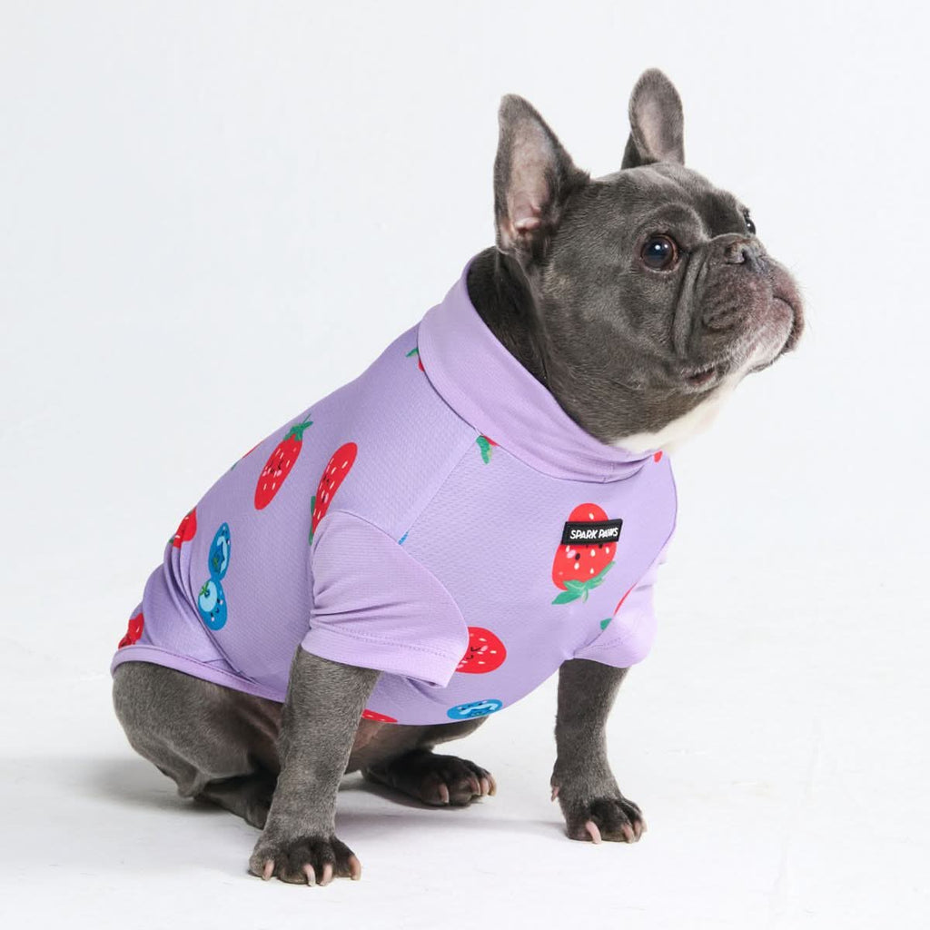UPF 30 Printed Dog Sun Shirt product image 30