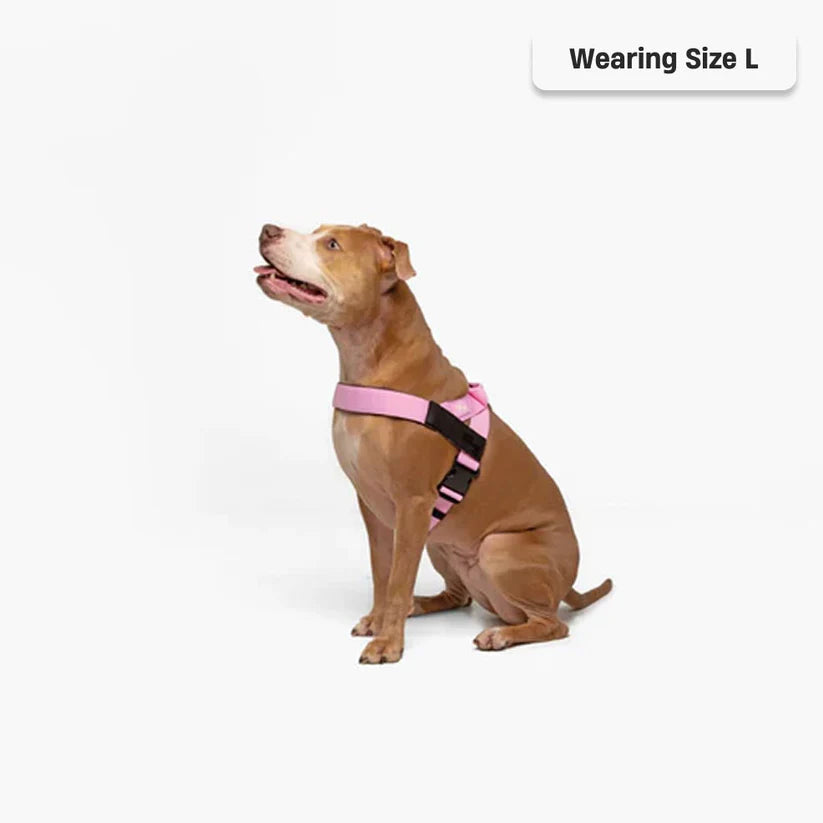Adjustable Grab-Handle Dog Harness product image 13