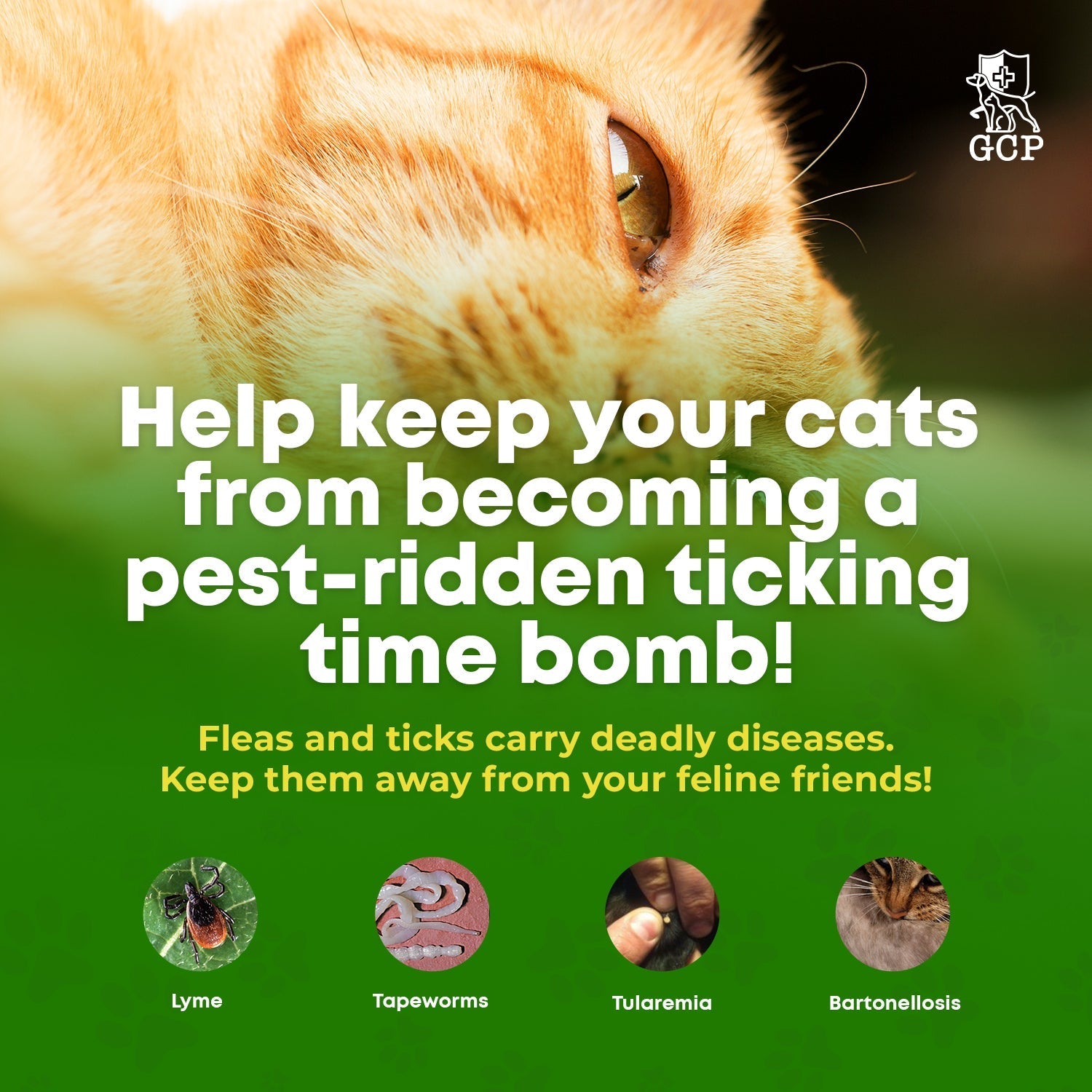 Cat Flea and Tick Support Chews product image 12