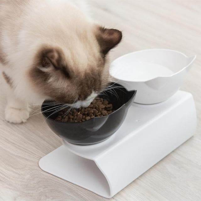 15-Degree Elevated Cat Bowl product image 14