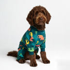 Dinosaur Dog Pajamas product image 4