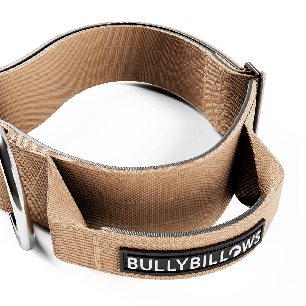 Padded Control-Handle Dog Collar product image 3