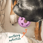 Calming dog wellness pops for relaxation and enrichment, product image 4