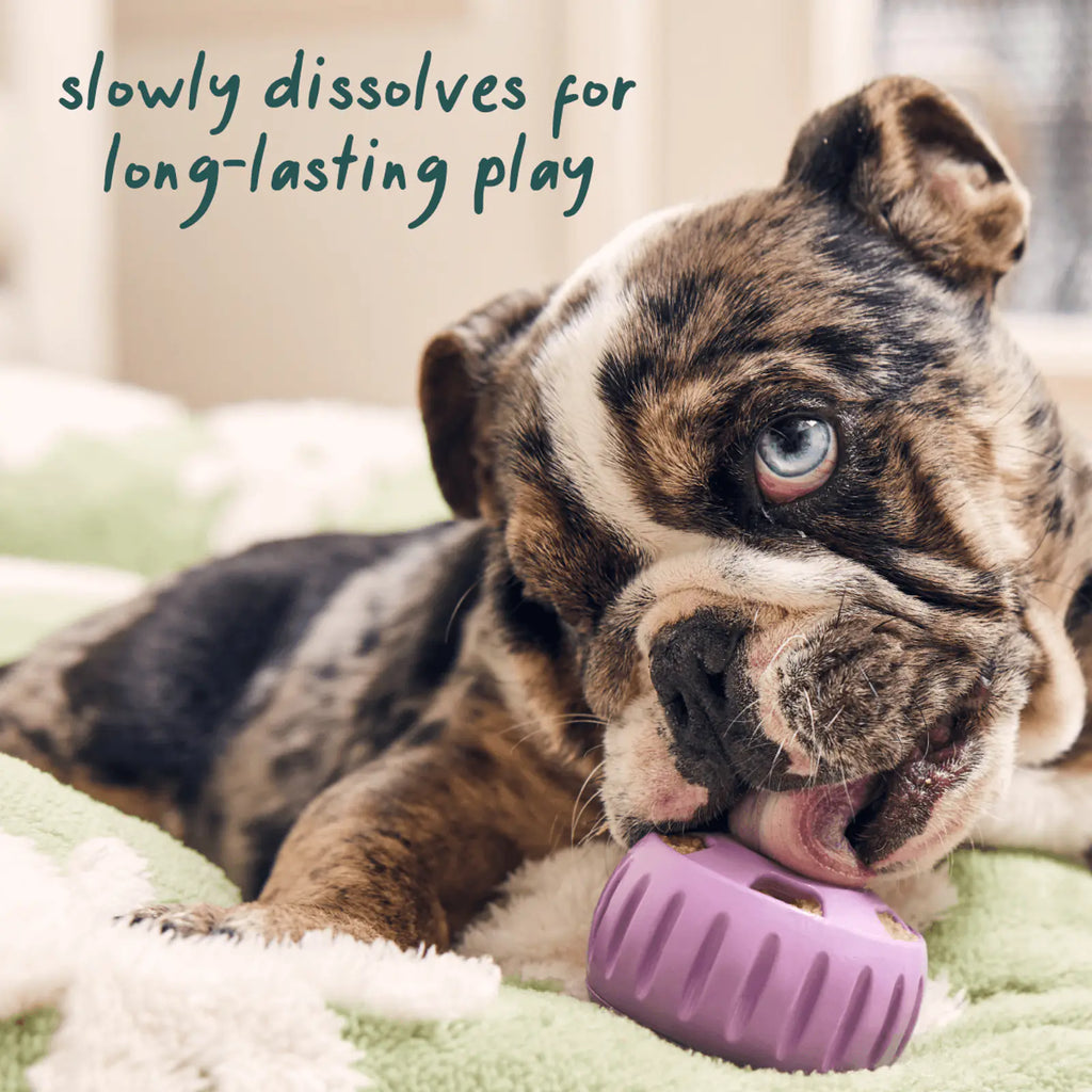 Calming dog wellness pops for relaxation and enrichment, product image 5