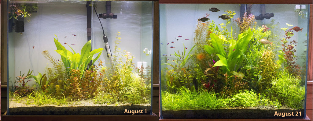 Double-Row Planted Aquarium LED Light product image 1