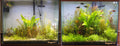 Double-Row Planted Aquarium LED Light 12"