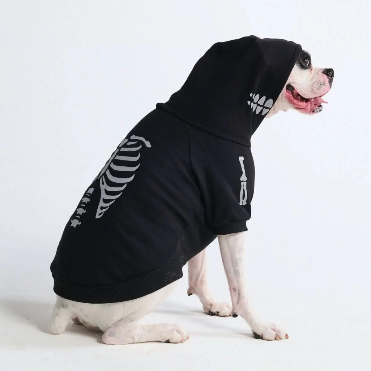 Halloween Dog Hoodie product image 19