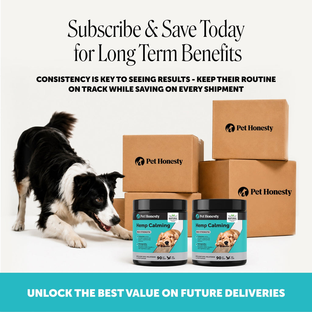 Dog Calming Soft Chews product image 8