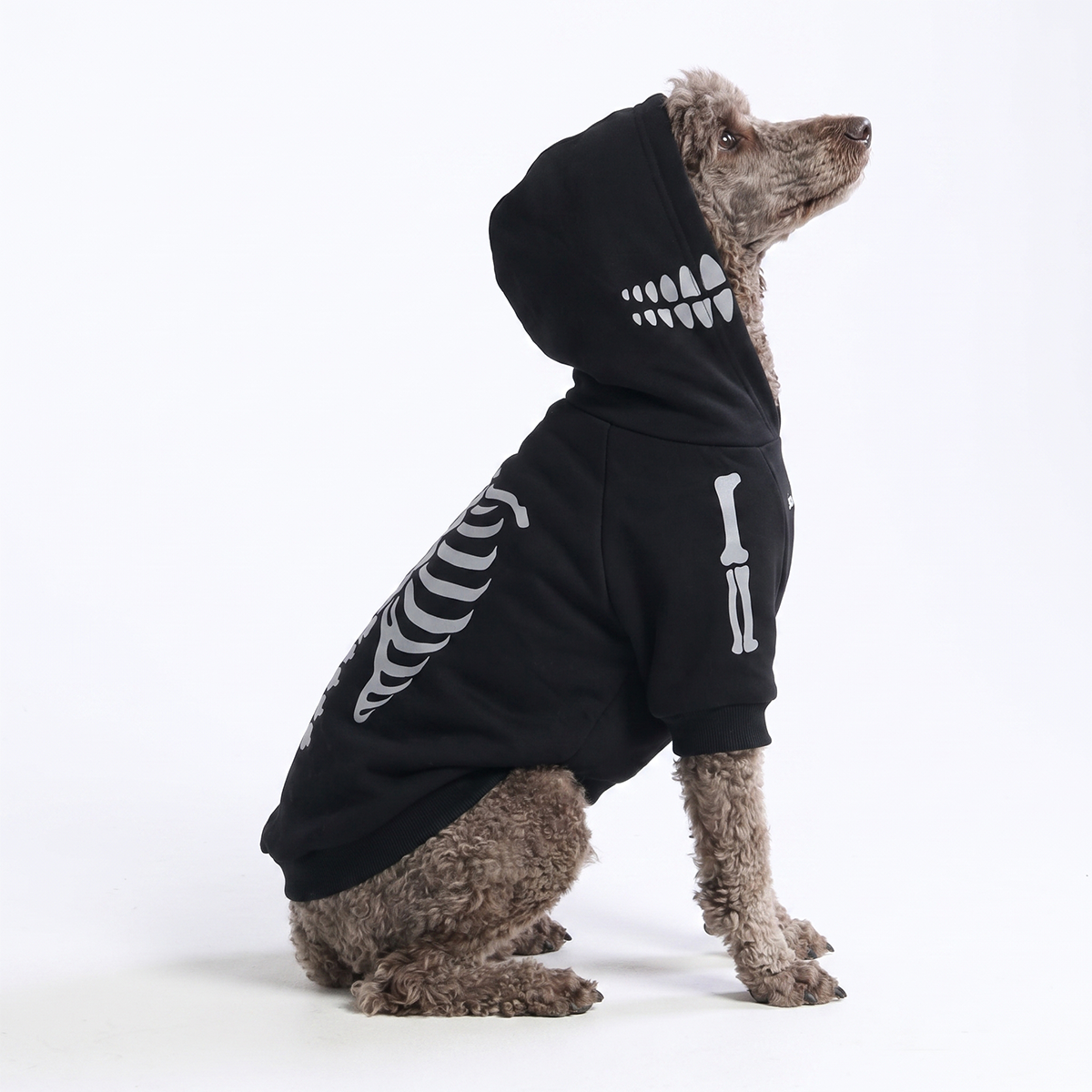 Halloween Dog Hoodie product image 18