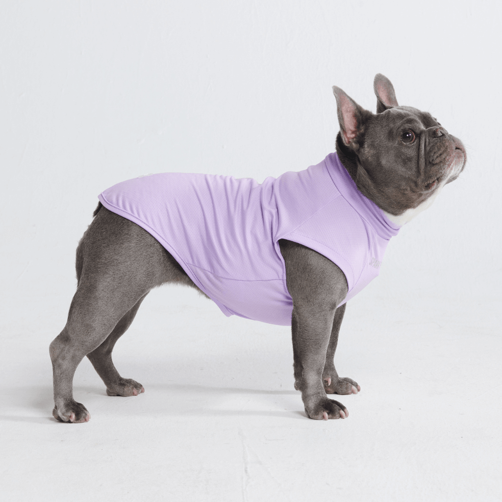 UPF 30 Dog Sun Shirt, Purple Shirt / S