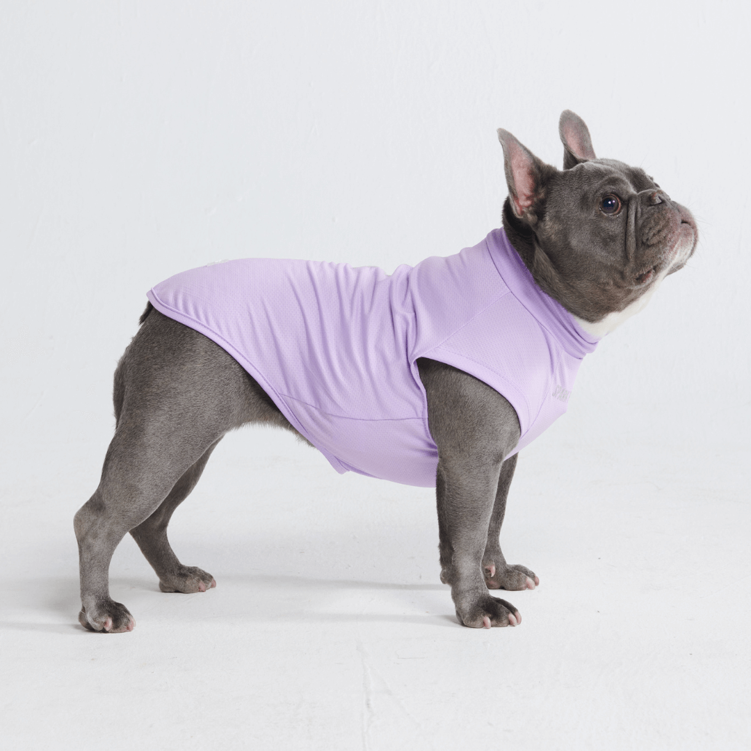 UPF 30 Dog Sun Shirt, Purple Shirt / S